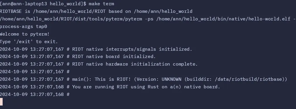 The Output in the Terminal